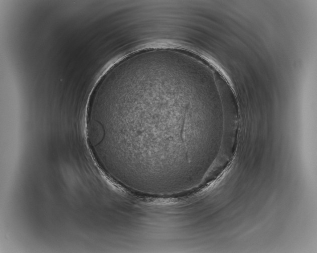 X0000116550845200912171347