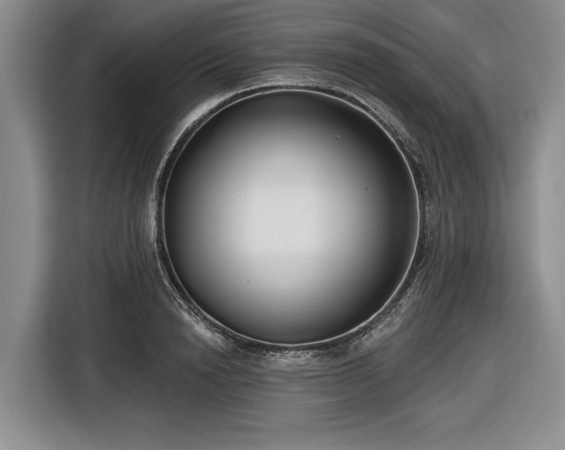 X0000116550846200912171347