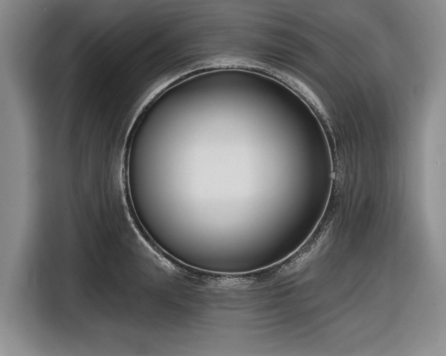 X0000116550847200912171347