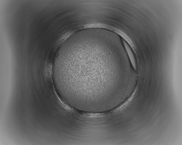 X0000116550849200912171347