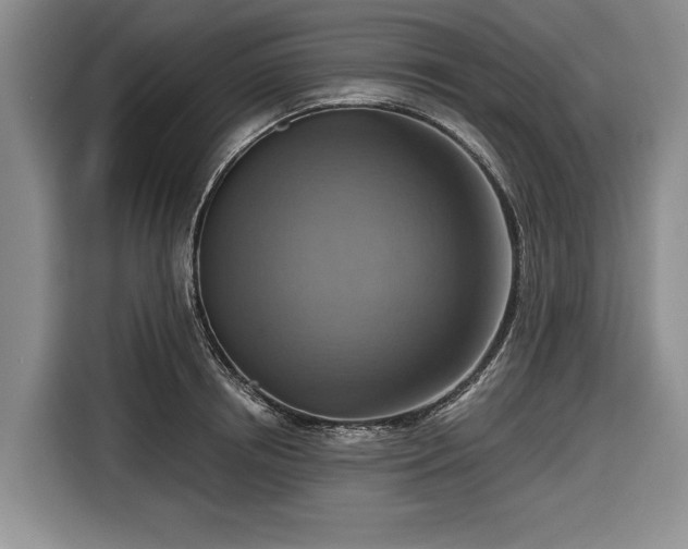 X0000116550850200912171347