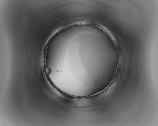 X0000116550851200912171347