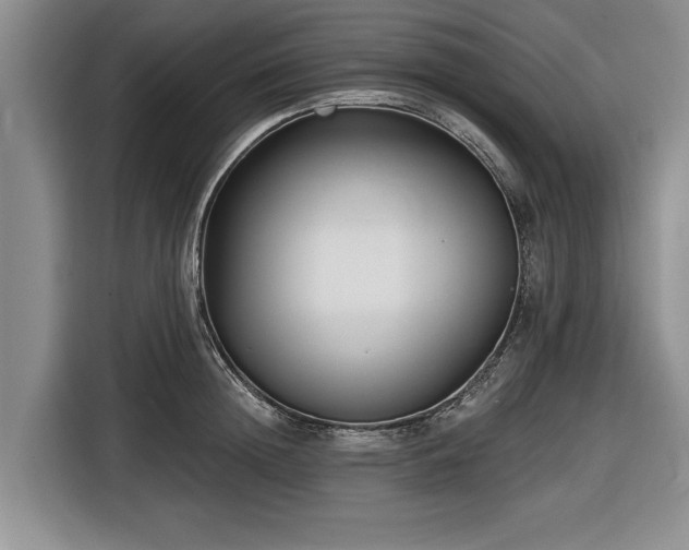 X0000116550852200912171347