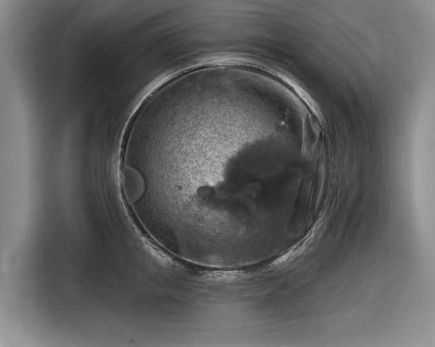 X0000116550853200912171347