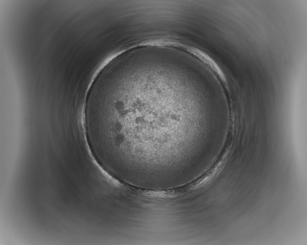 X0000116550855200912171347