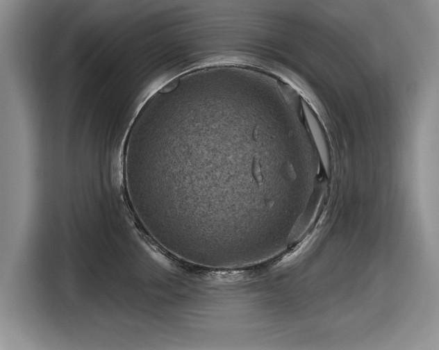 X0000116550858200912171347