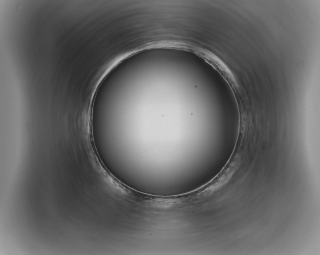 X0000116550860200912171347