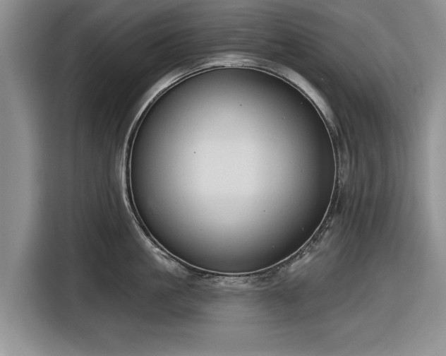 X0000116550861200912171348