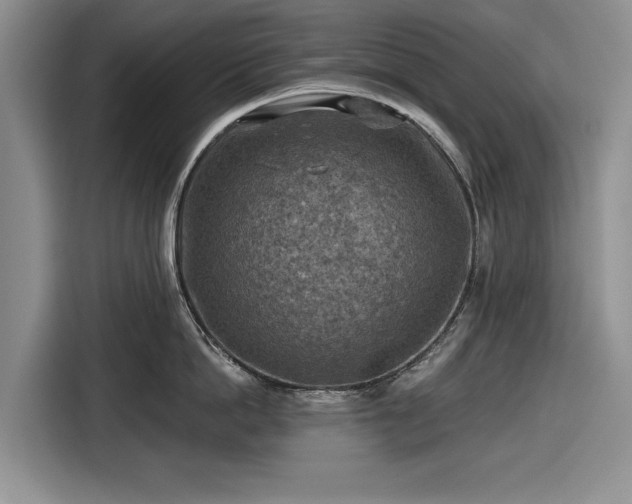 X0000116550862200912171348