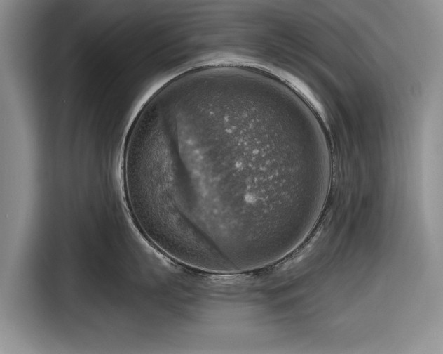 X0000116550863200912171348