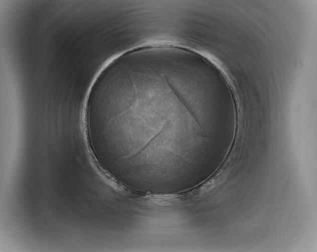 X0000116550864200912171348