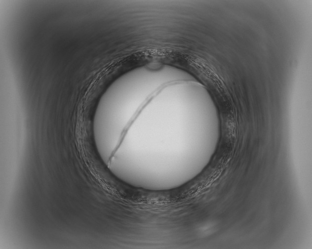 X0000116550865200912171347