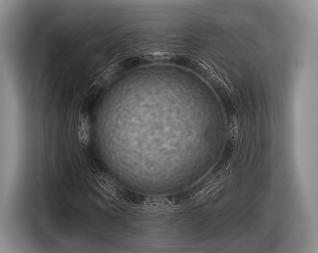 X0000116550866200912171347