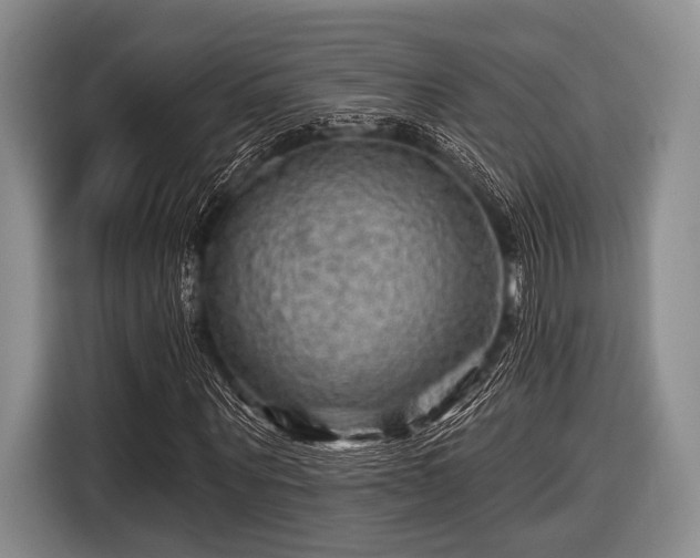 X0000116550867200912171347