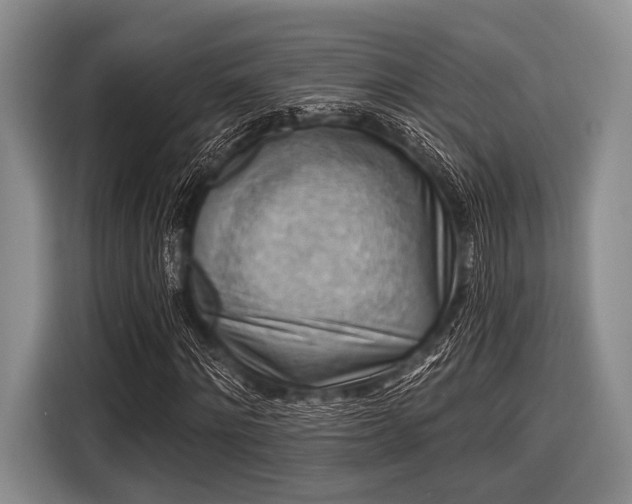 X0000116550868200912171347