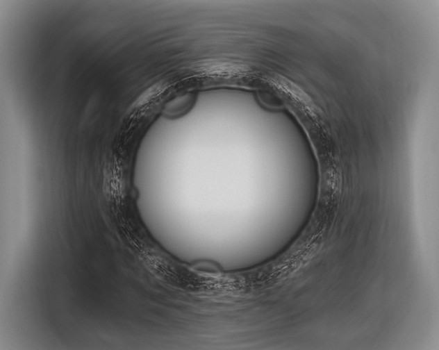 X0000116550869200912171347