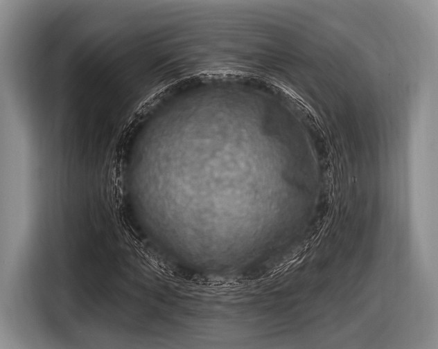 X0000116550870200912171347