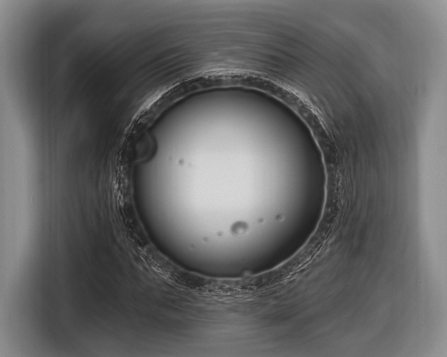 X0000116550871200912171347