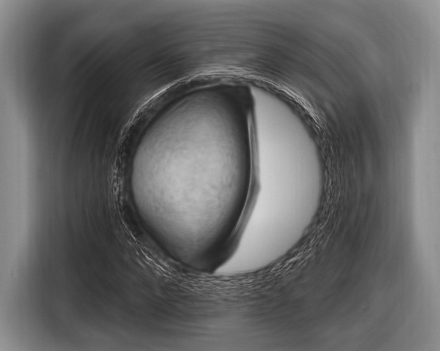 X0000116550872200912171347