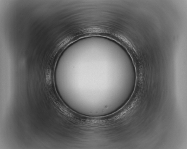 X0000116550873200912171347