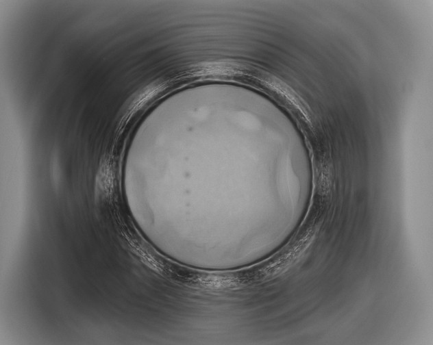 X0000116550874200912171347