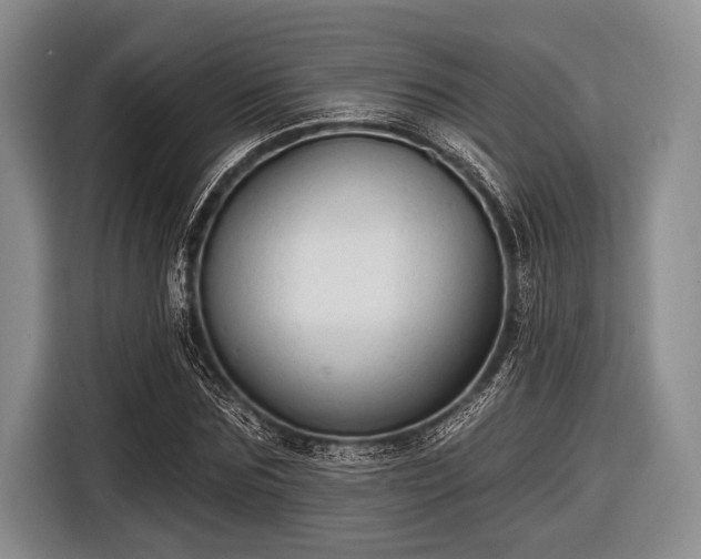 X0000116550875200912171347