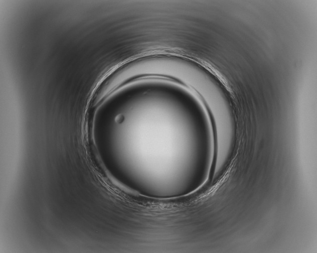 X0000116550877200912171347