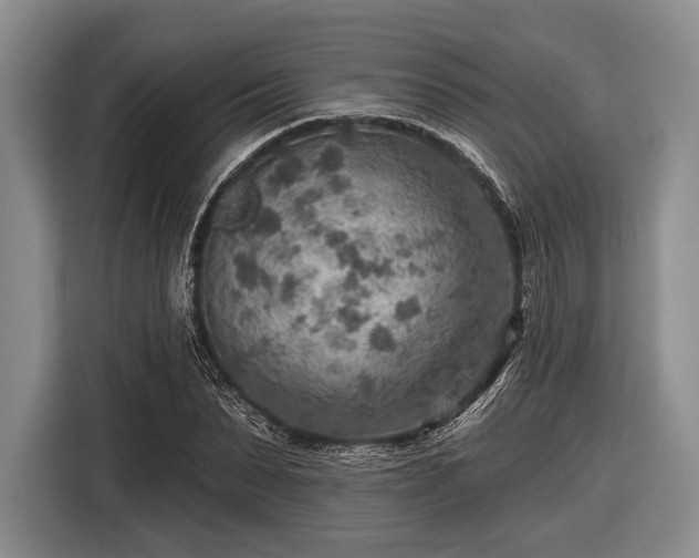 X0000116550879200912171347