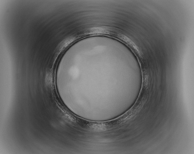 X0000116550882200912171347