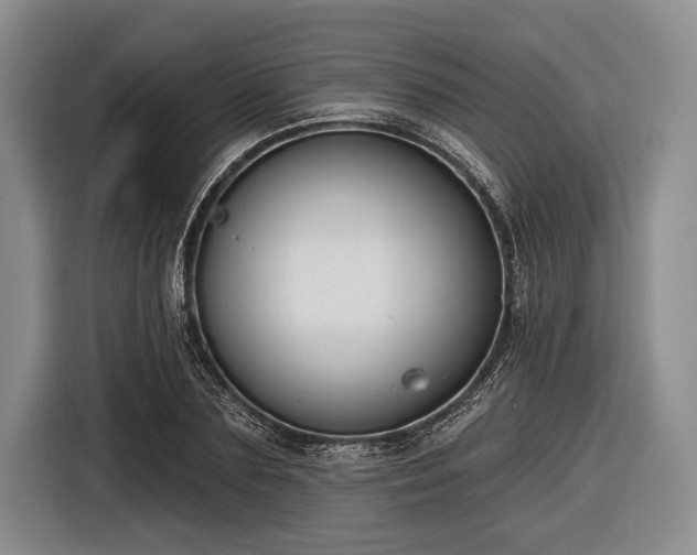 X0000116550883200912171347