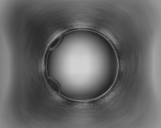 X0000116550885200912171347