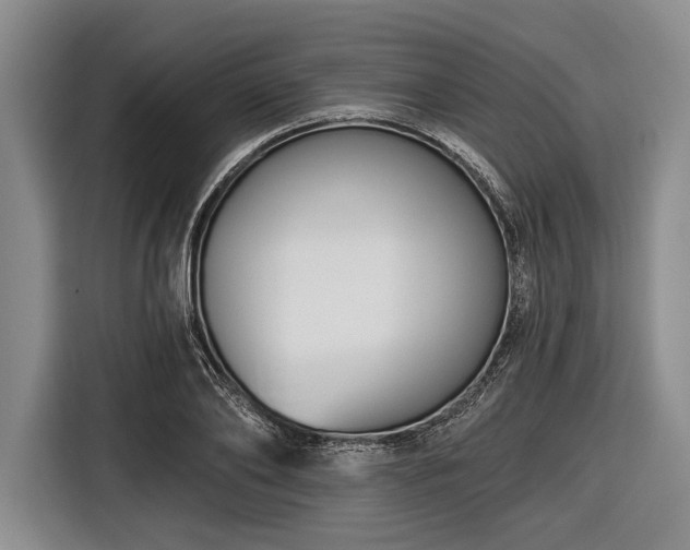 X0000116550886200912171347