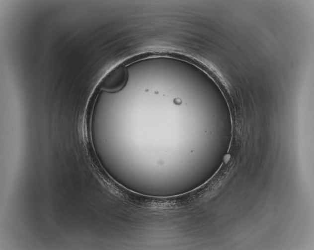 X0000116550887200912171347