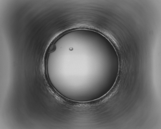 X0000116550888200912171347