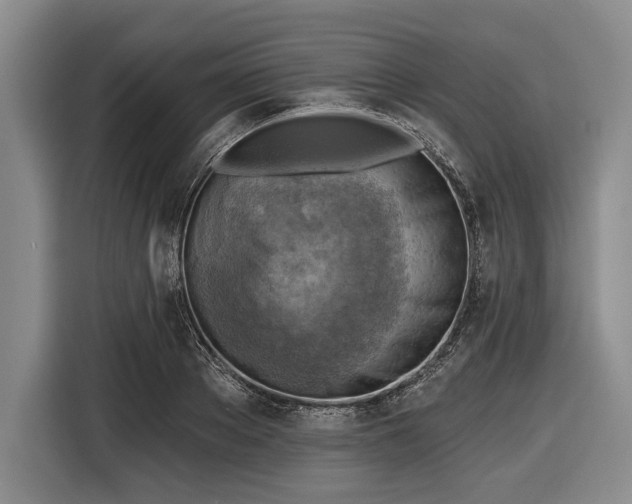 X0000116550889200912171347