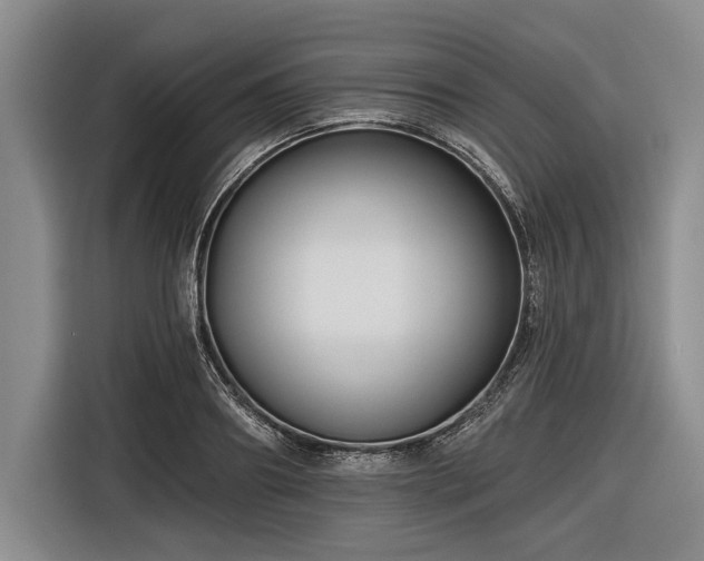 X0000116550890200912171347