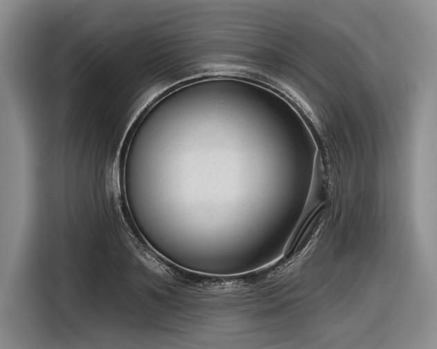 X0000116550891200912171347