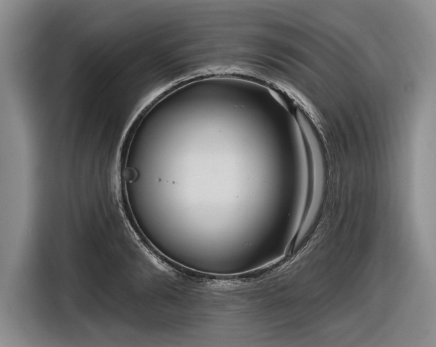 X0000116550894200912171347