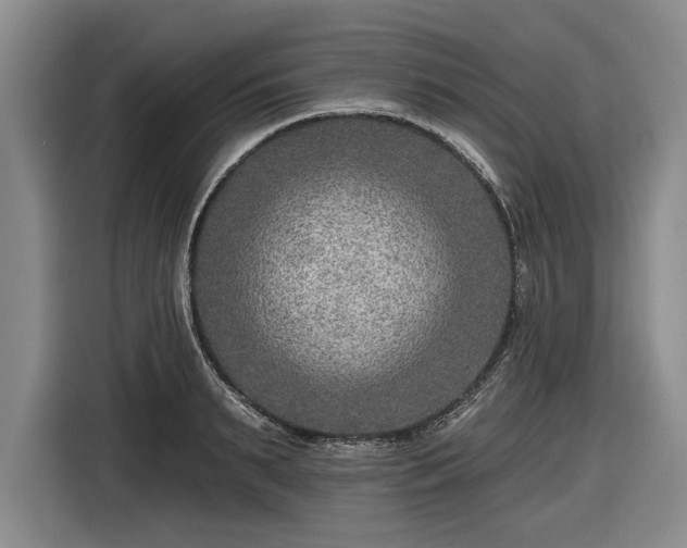 X0000116550895200912171347