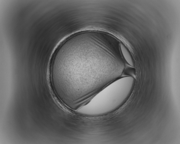 X0000116550896200912171347