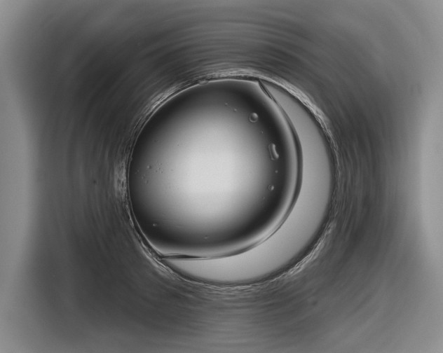 X0000116550897200912171347