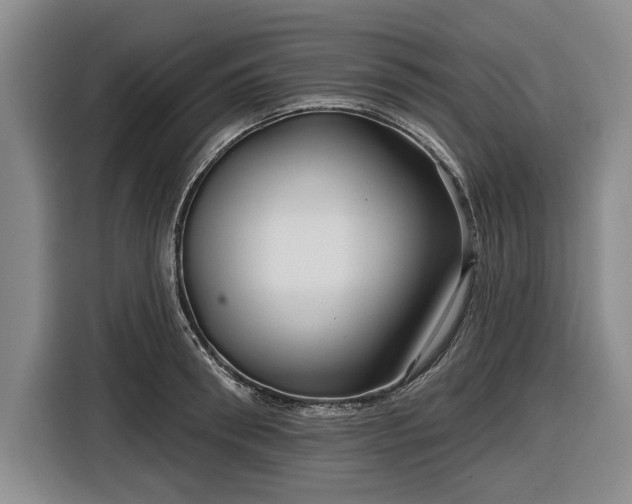 X0000116550898200912171346