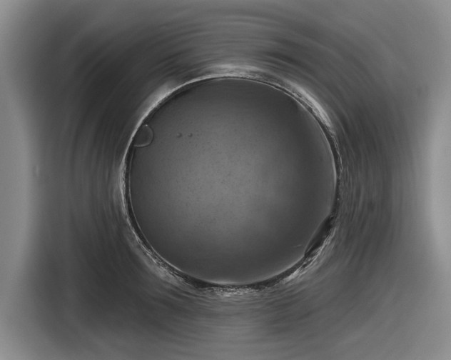 X0000116550899200912171346