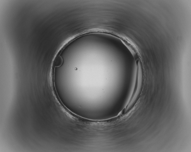 X0000116550902200912171346