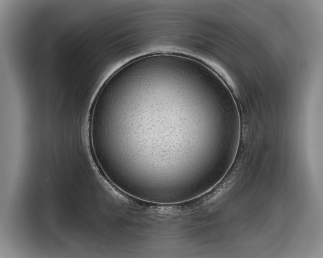 X0000116550903200912171346