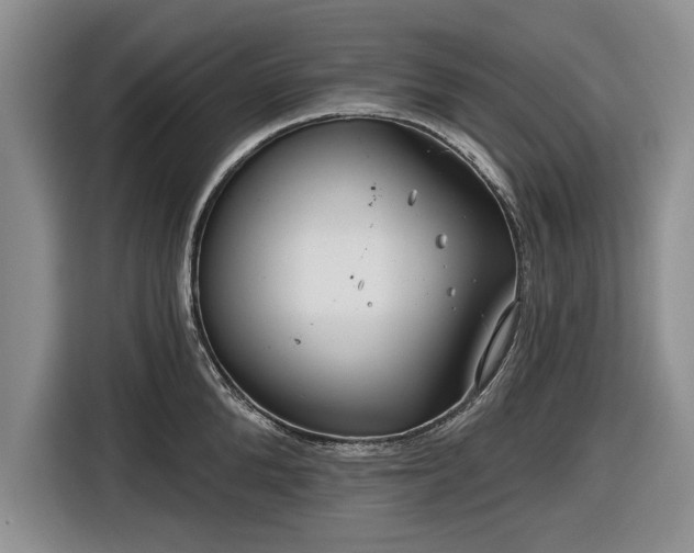 X0000116550904200912171346