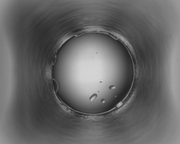 X0000116550905200912171346