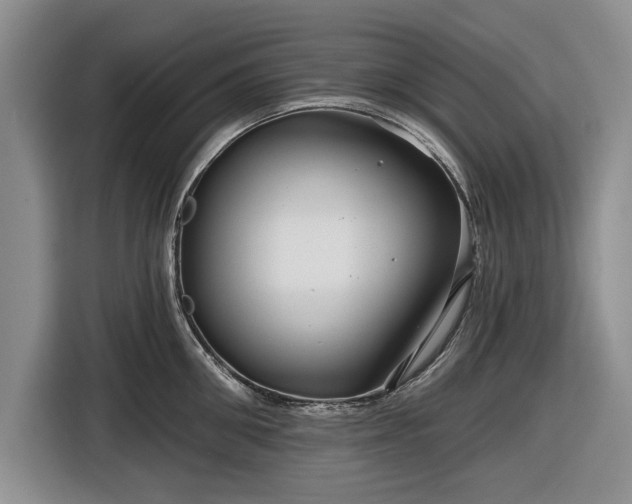 X0000116550906200912171346