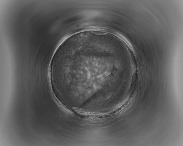 X0000116550907200912171346