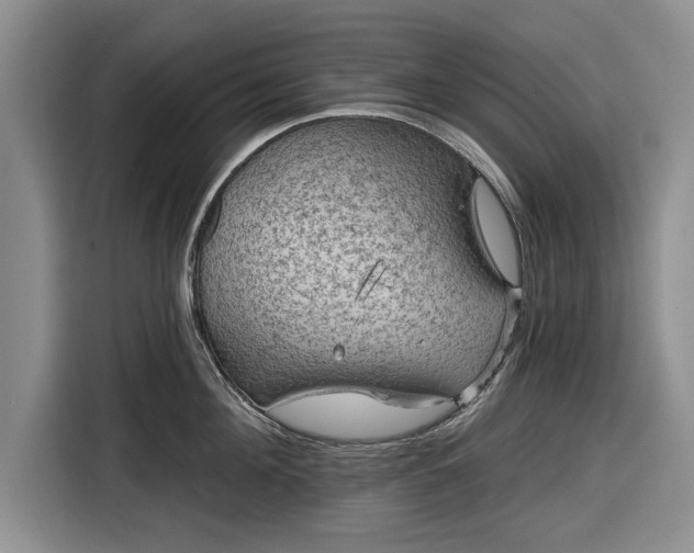 X0000116550908200912171346